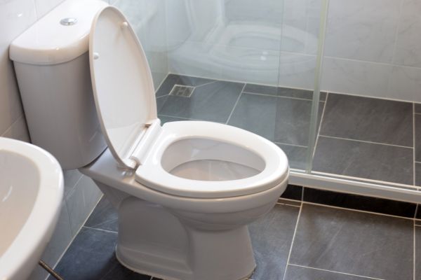 Toilet Replacement in Sparks