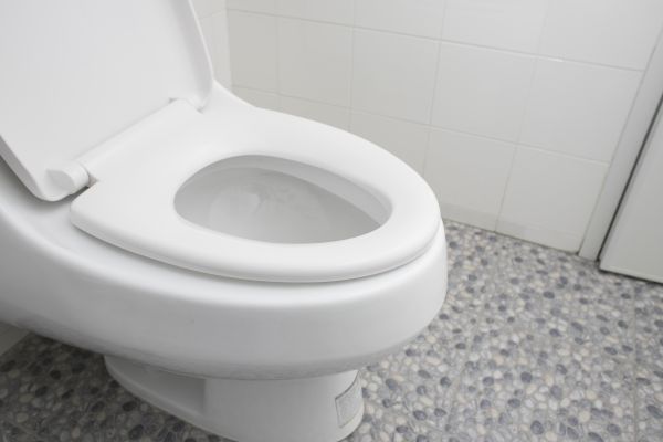 New Toilet Installation in Sparks