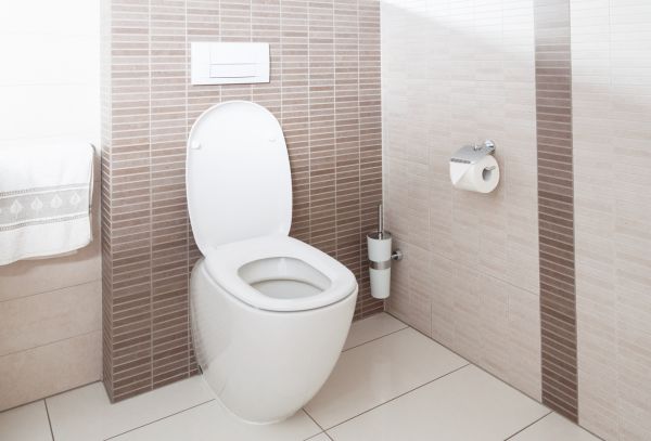 Cost of Toilet Plumbing Installation in Sparks